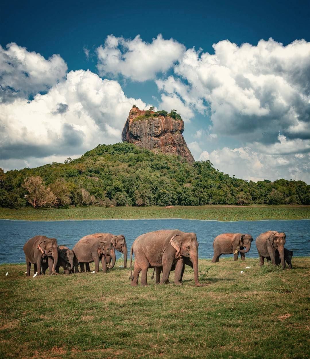 Dambulla & Sigiriya