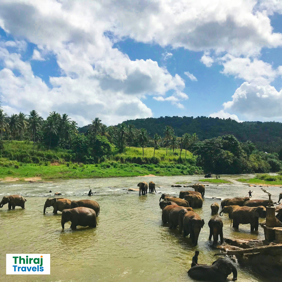 10 Things to do in Sri Lanka